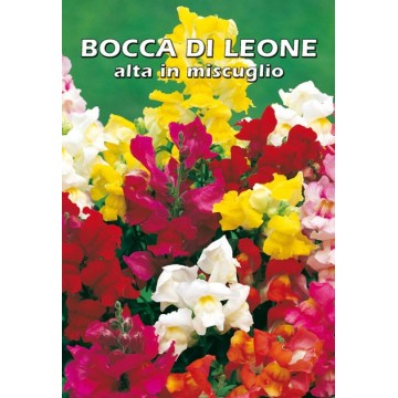 Bocca di Leone Alta en mélange