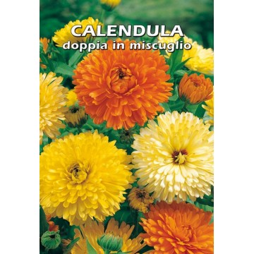 Calendula Doppia in Miscuglio