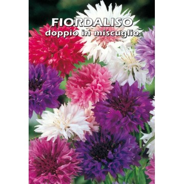 Fiordaliso Doppio in Miscuglio