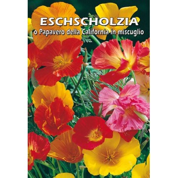 Eschscholzia o Papavero...