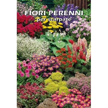 Fiori Perenni per Scarpate