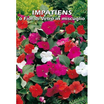 Impatiens o Fior di Vetro...