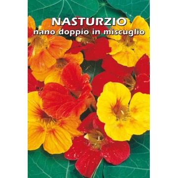 Nasturzio Nano Doppio in...