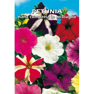 Compact Dwarf Petunia in...