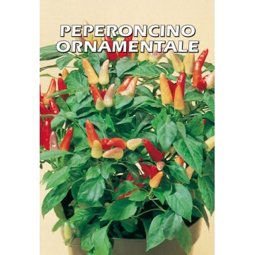 Piment ornemental