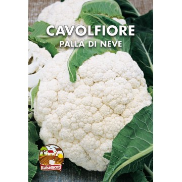 Cauliflower Snowball