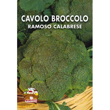 Calabrian Branchy Broccoli Cabbage