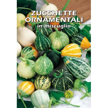 Zucchette Ornamentali in...