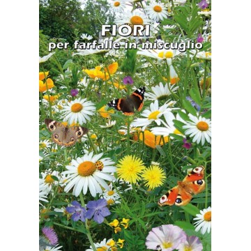 Fleurs pour papillons en...