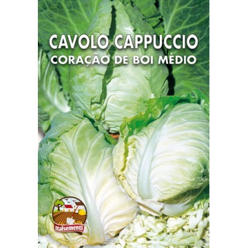 Cavolo Cappuccio Cuor di Bue Piccolo