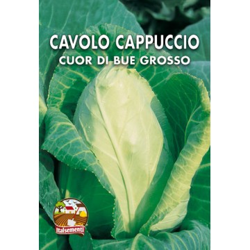 Cavolo Cappuccio Cuor di Bue Grosso