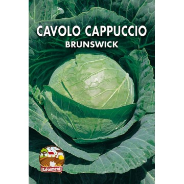 Cavolo Cappuccio di Brunswich 