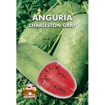 Anguria Charleston Gray