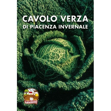 Cavolo Verza di Piacenza...