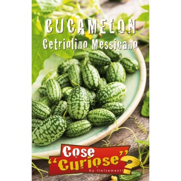 Cucamelon Mexican Gherkin
