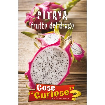 Pitaya Drachenfrucht