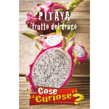 Pitaya Dragon Fruit