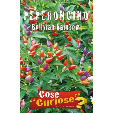 Piment arc-en-ciel bolivien