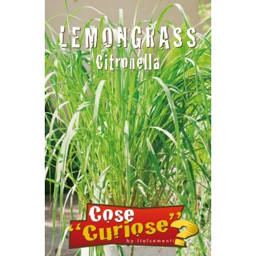 Lemongrass Citronella