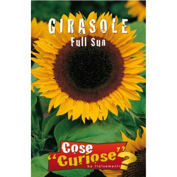 Girasole Full Sun