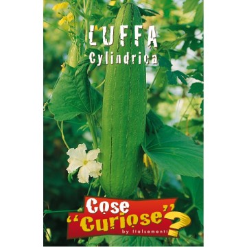 Luffa Cylindrica