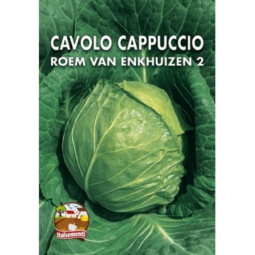 Cavolo Cappuccio Gloria di...