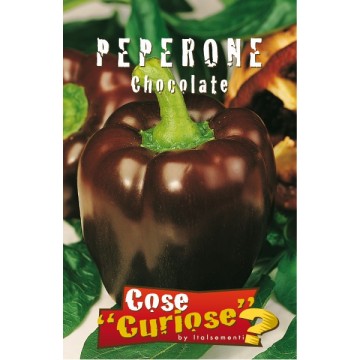 Chocolate Pepper