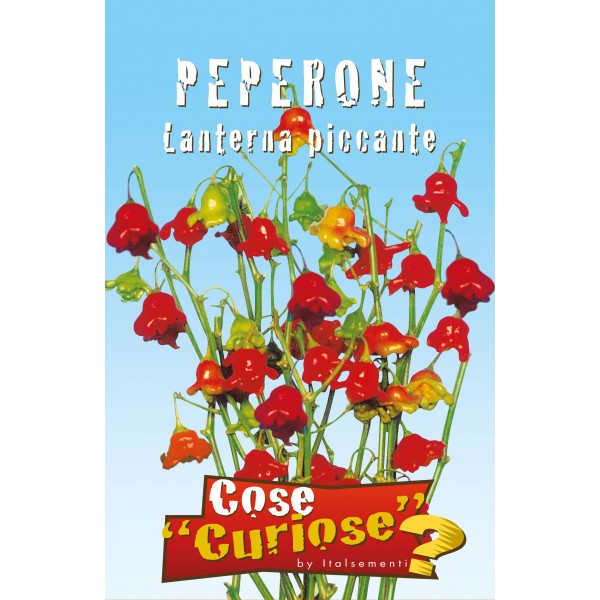 Peperone Lanterna Piccante Peperone Lanterna Piccante