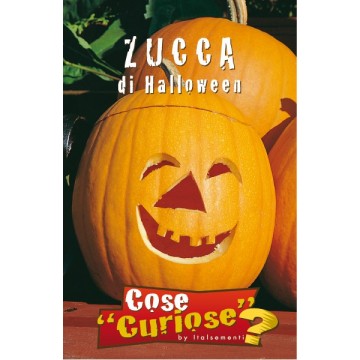 Zucca di Halloween