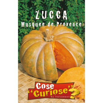 Muscat of Provence pumpkin