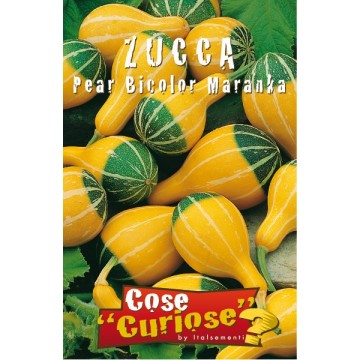 Zucca Pear Bicolor Maranka