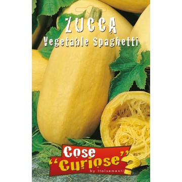 Zucca Spaghetti