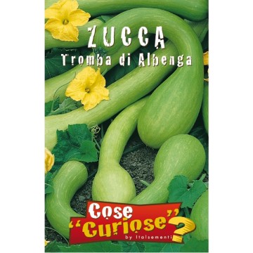 Zucca Tromba di Albenga