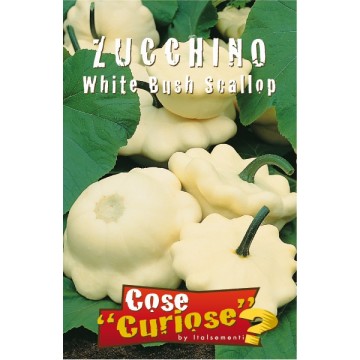 Zucchini White Bush Scallop