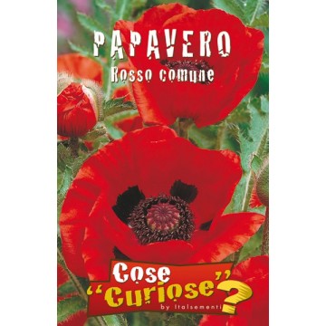 Papavero Rosso Comune