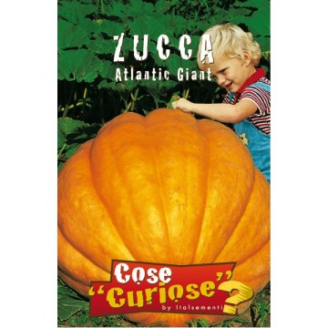 Atlantic Giant Pumpkin