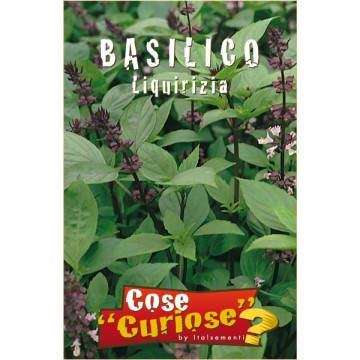 Basilico Liquirizia