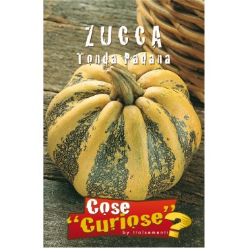 Zucca Tonda Padana