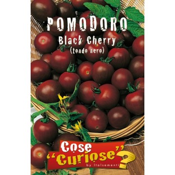 Black Cherry Tomato (Round Black)