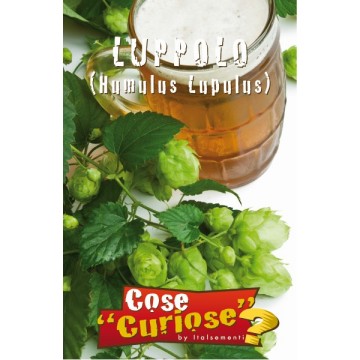 Hopfen