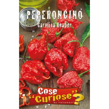 Carolina Reaper Chilli