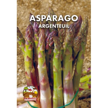 Asparagus Argenteuil