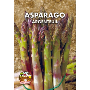 Asperges d’Argenteuil