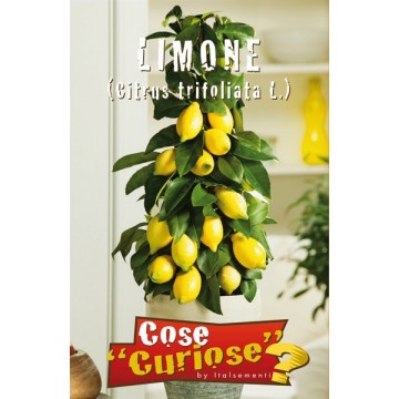 Limone