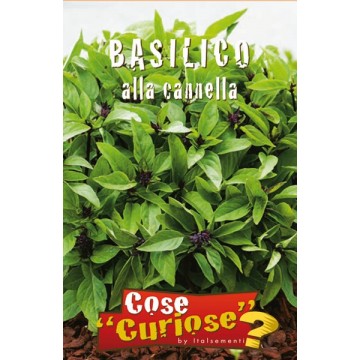 Basil with Cinnamon