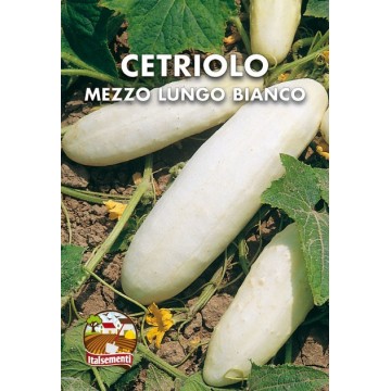 Concombre blanc demi-long