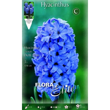 Giacinto Delft Blue