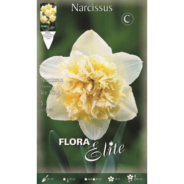 Narciso Doppio Ice King-Narcisi-ITALSEMENTI s.n.c.