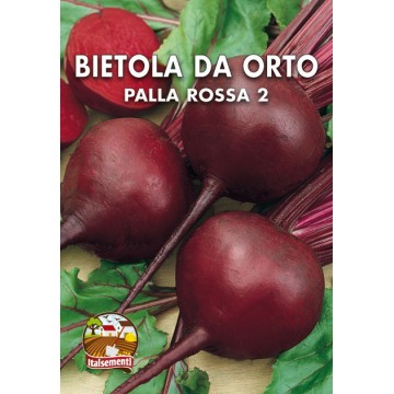 Bietola da Orto Palla Rossa 2