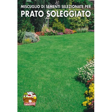 Prato Soleggiato